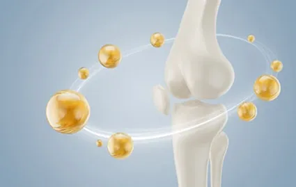 Knee bone illustration with golden spheres orbiting it