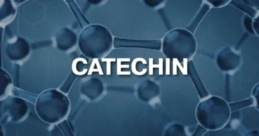 Catechin molecule banner from the sales video