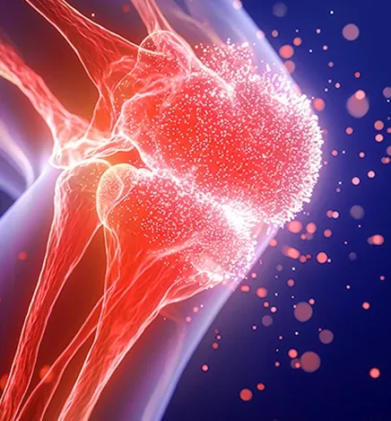 Glowing red illustration of a knee joint