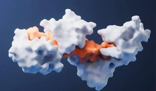 3D model of an enzyme molecule