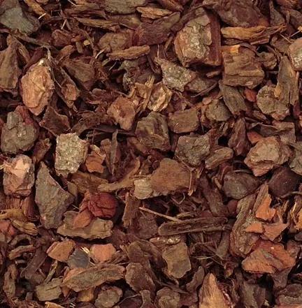 Square photo of pine bark chips